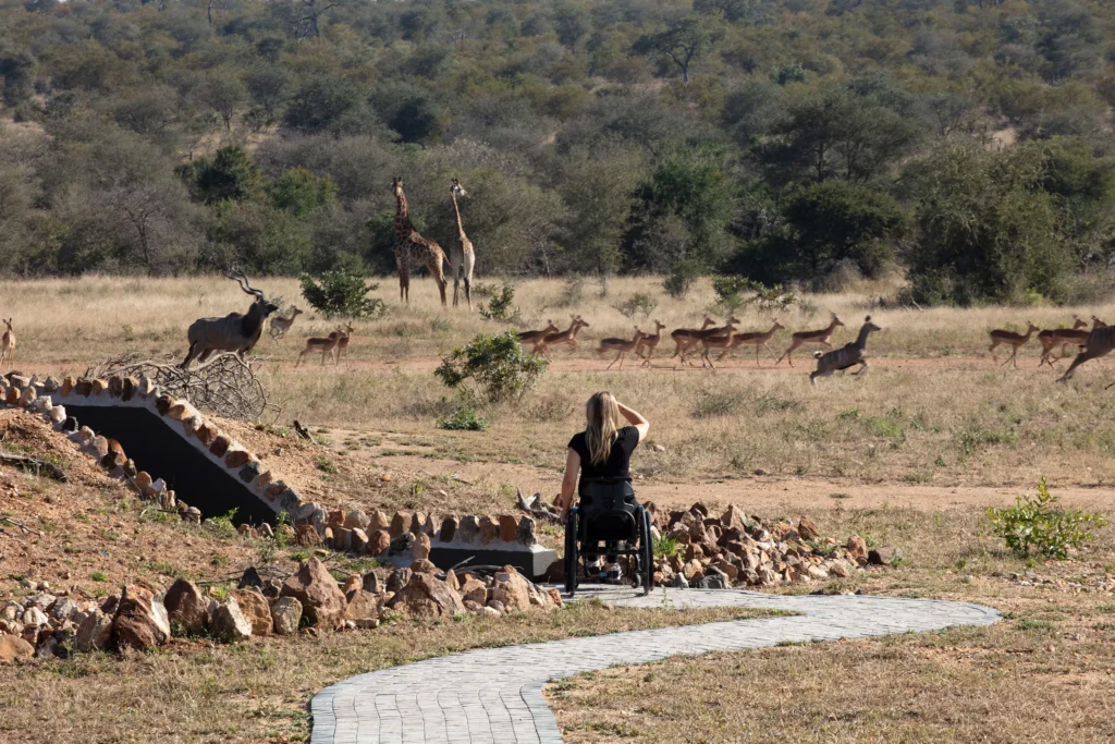 Kruger Park Safari Adventures for the Disabled