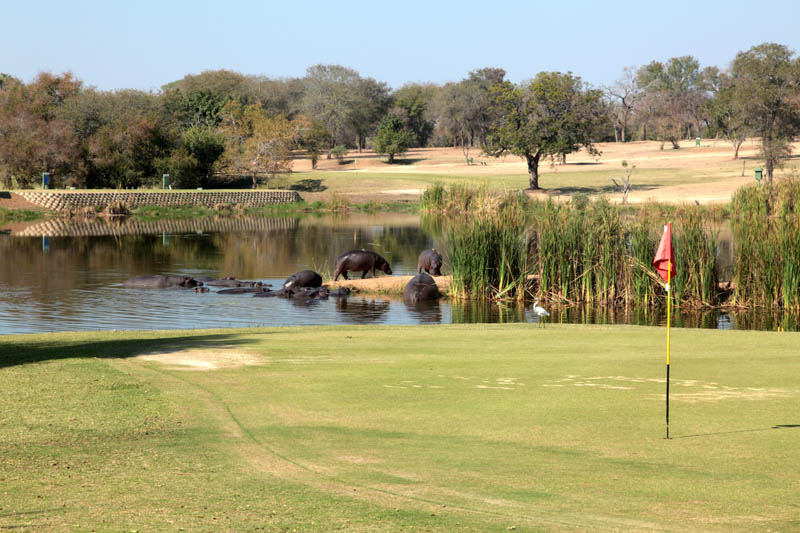 Golfing in Kruger National Park